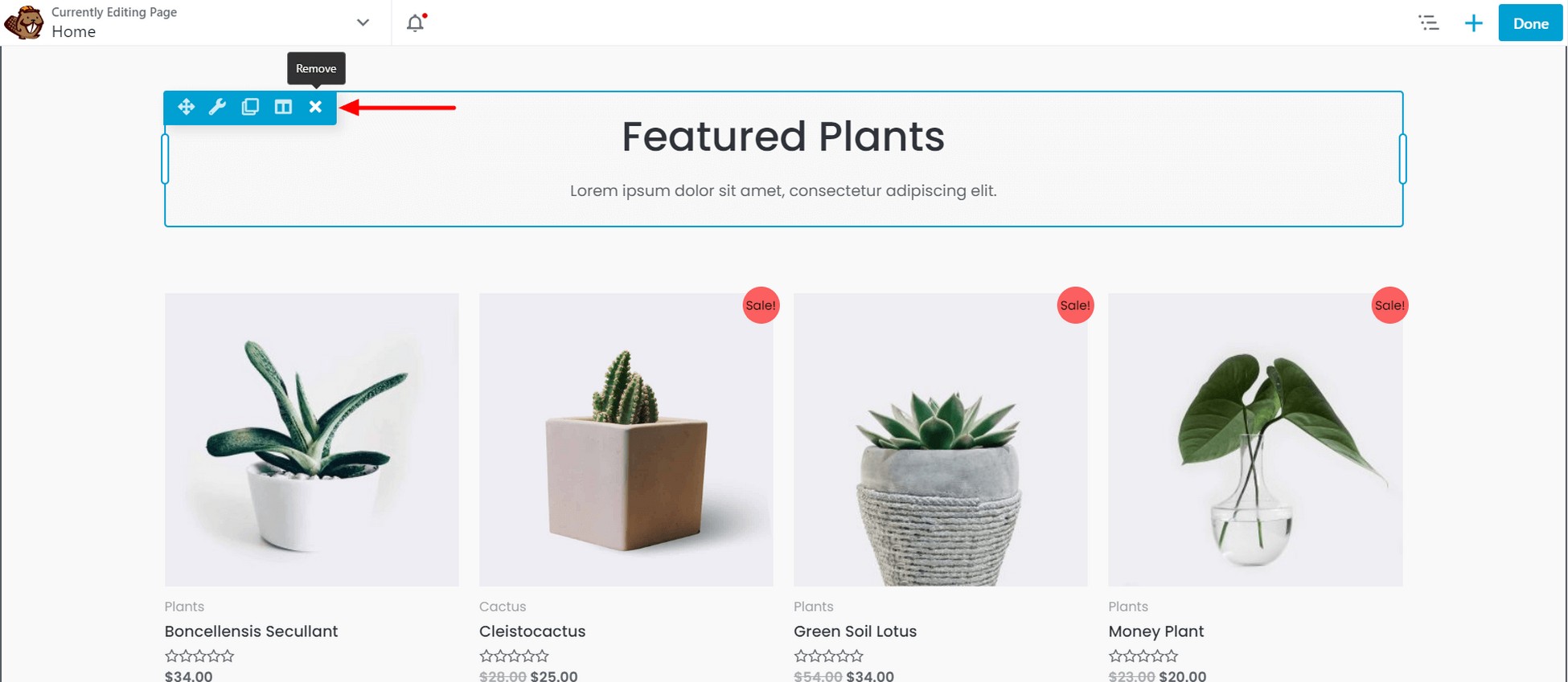 Delete single Beaver Builder block