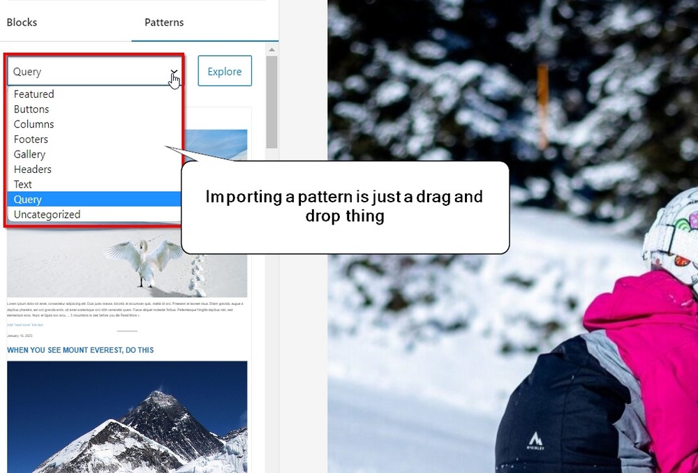Beaver Builder vs Elementor vs Spectra: Which one is best for you? import pattern in spectra