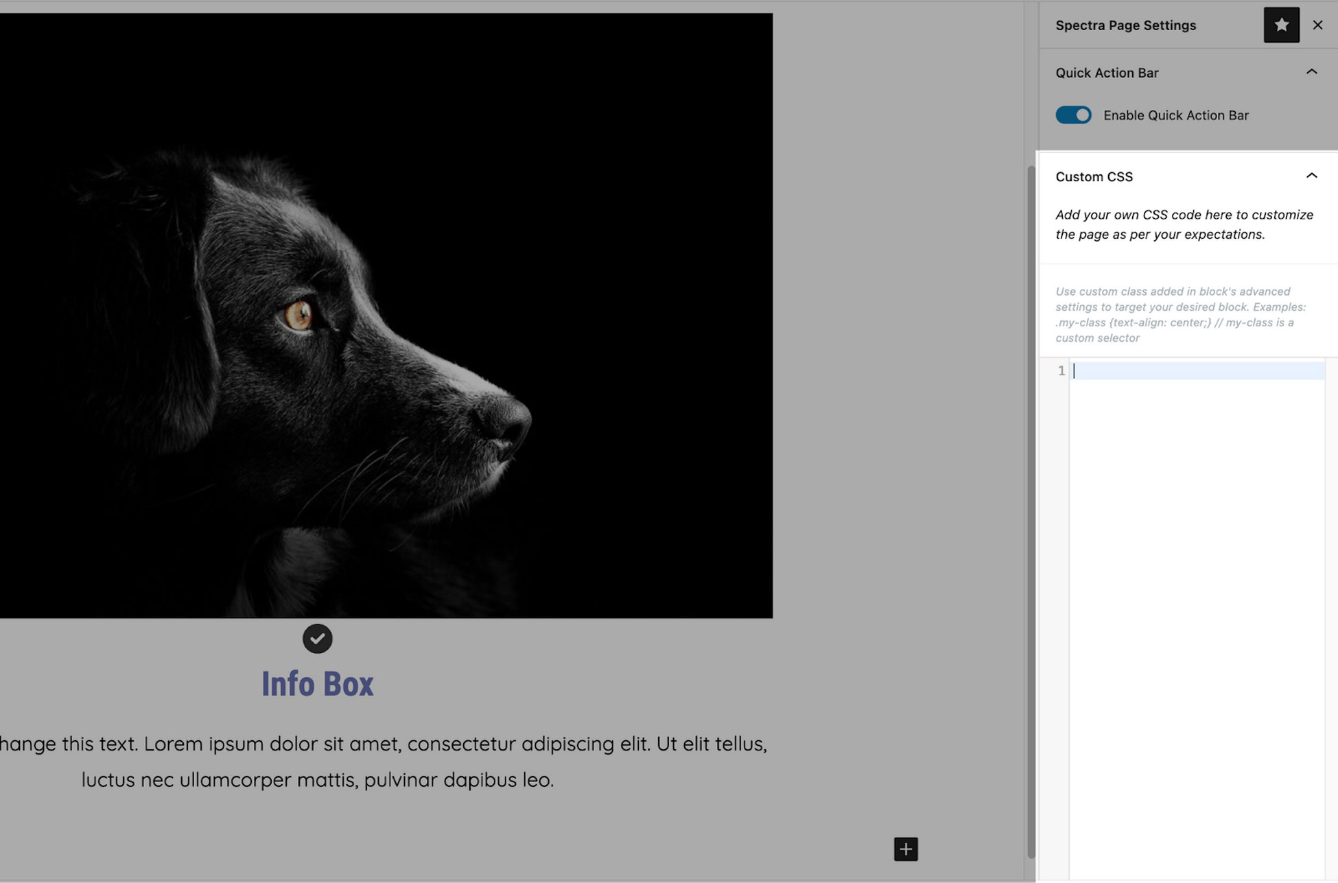 Divi vs Elementor: The 2025 Comparison You Need to See spectra custom css