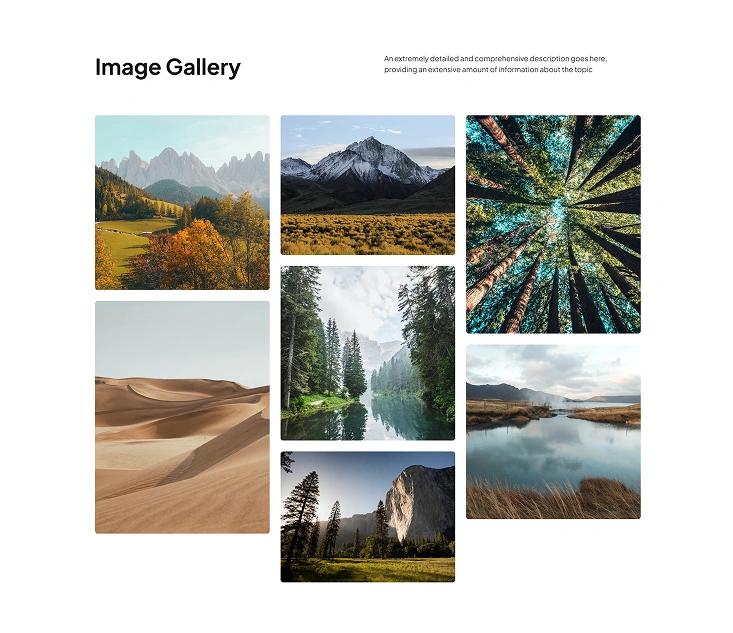 Template 15 Template 15