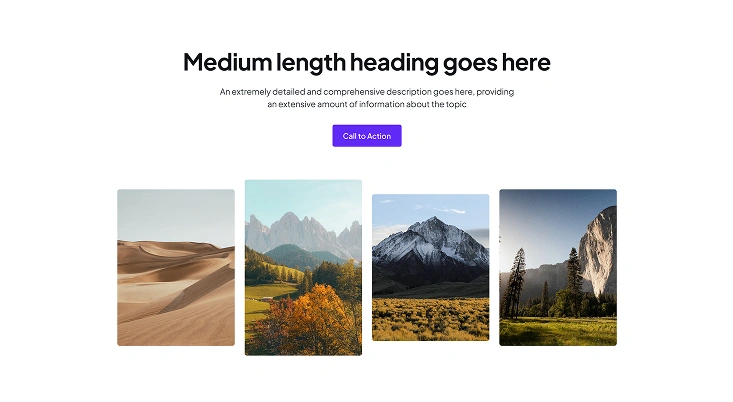 Template 5 Template 5