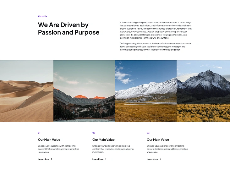 Template 7 Template 7